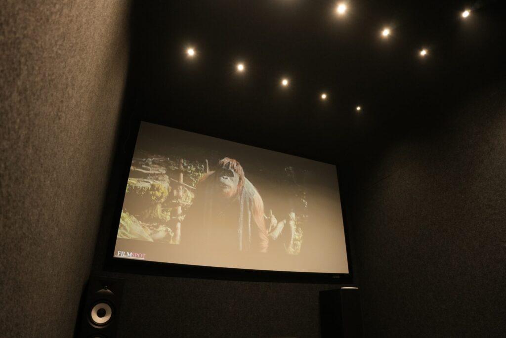 home theater projection screen